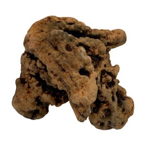 manzanita root