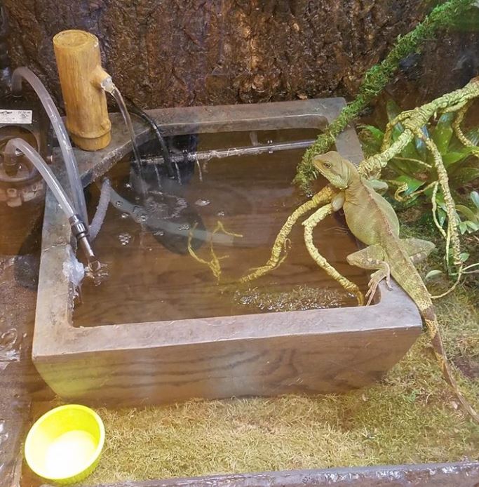 Marc's Hybrid Reptile Enclosure