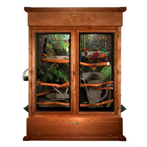 Decorative Bird Cages