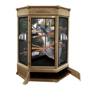 Corner Aviary