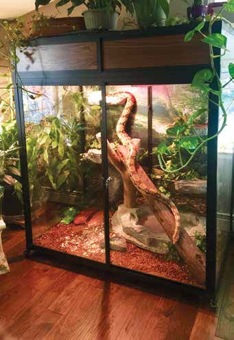 Monroe's New Enclosure