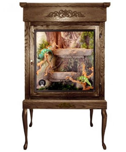 Oak Reptile Cages
