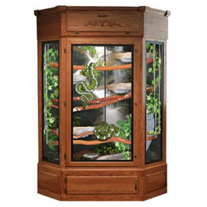 Ball Python Cages