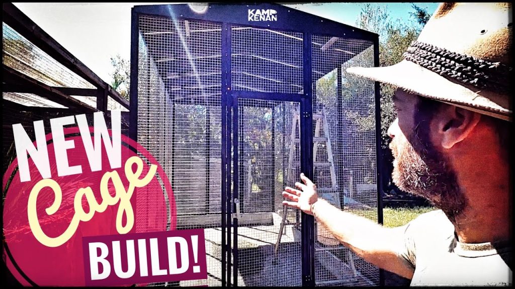 New Enclosure for the New Croc Monitors! | Suncatcher Enclosures