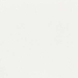 Majestic White Paint