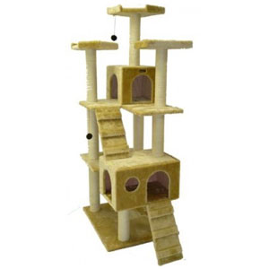 Cat Scratching Furniture