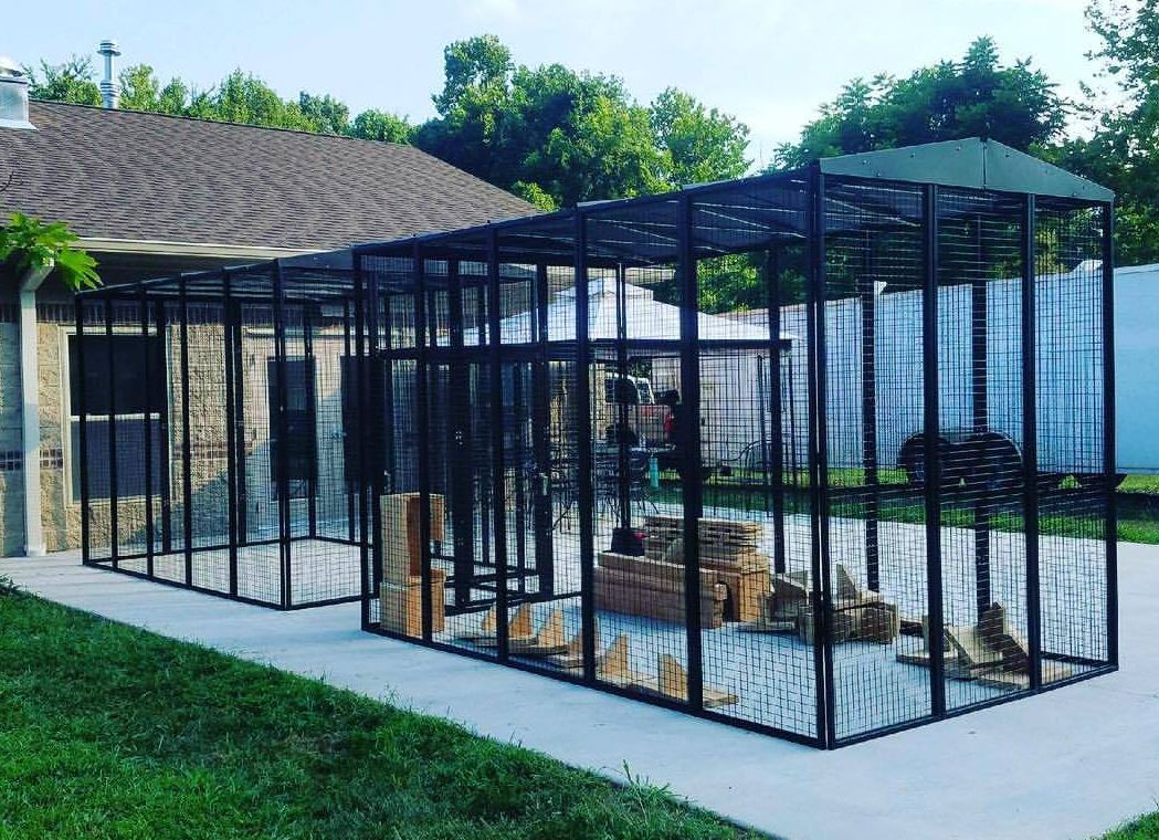 Suncatcher Cat Cage
