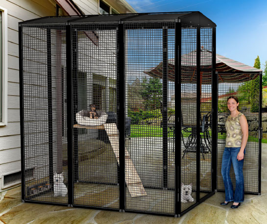 suncatcher dog kennels