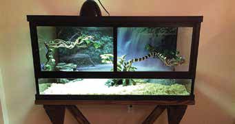 Susan & Leah's Snake Enclosure