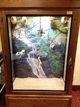 Majestic Bird Cages 1