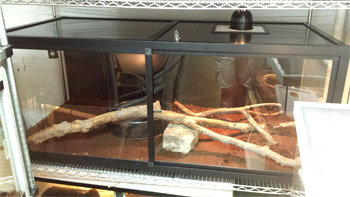 Hybrid Reptile Enclosure - Sacramento Zoo
