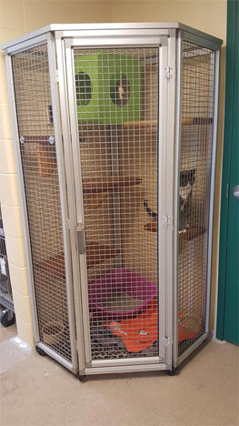 Cat Pentagon Corner Cage